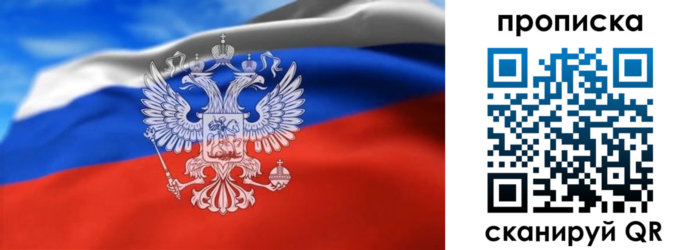 временная регистрация гарантия в Опочке
